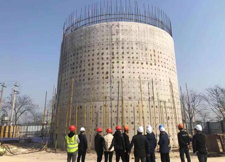 7213056398