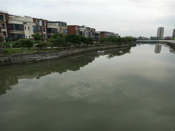s_25132545282
