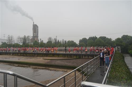 s_15153415534